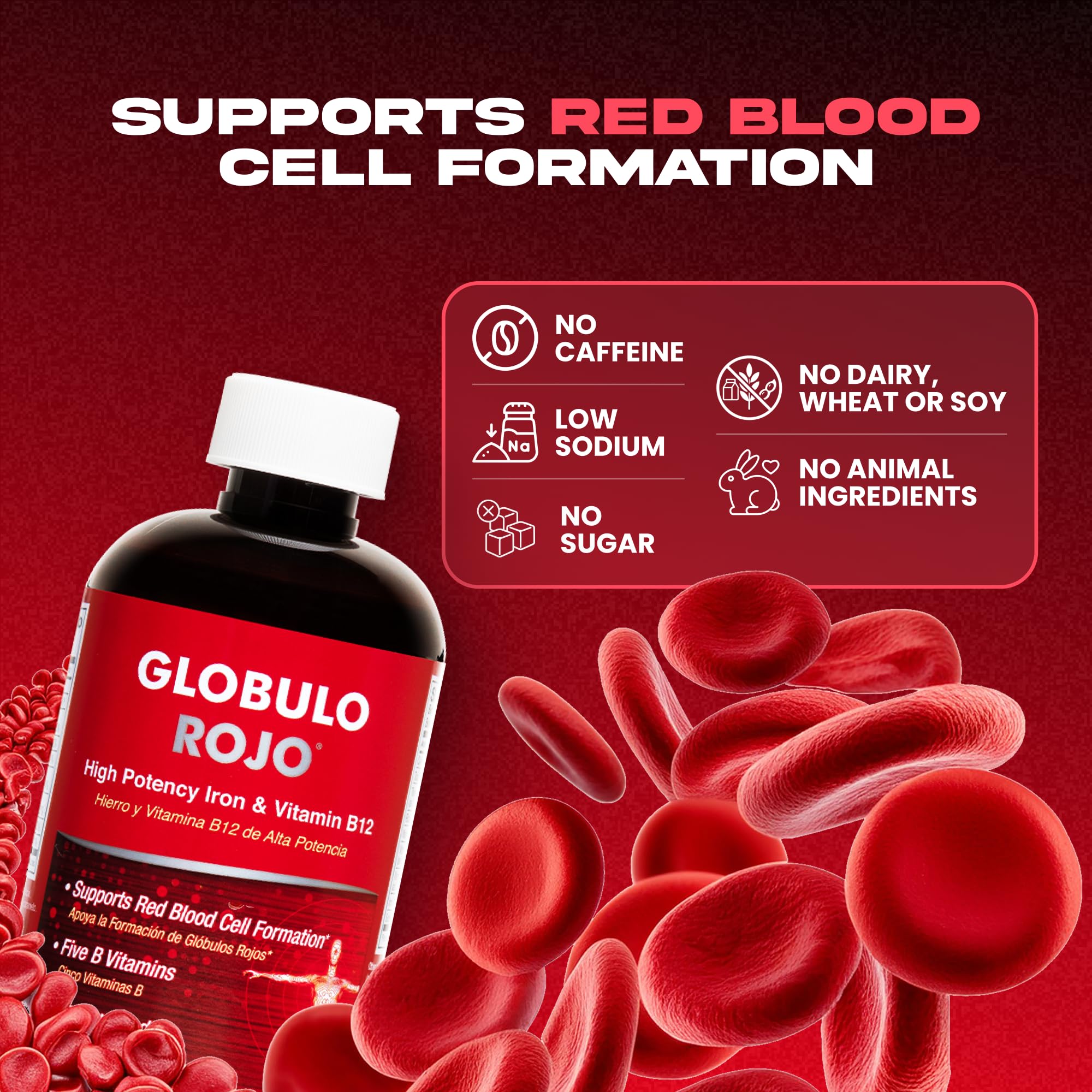 Globulo Rojo Iron Supplement - Liquid Dietary Supplement with High Potency Iron & B Vitamins (Vegan) (16 Fl Oz (Pack of 1)) - Image 3